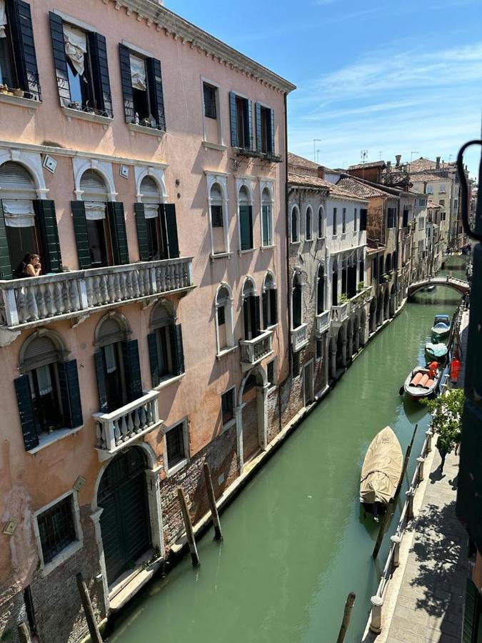 Rosa Venecia