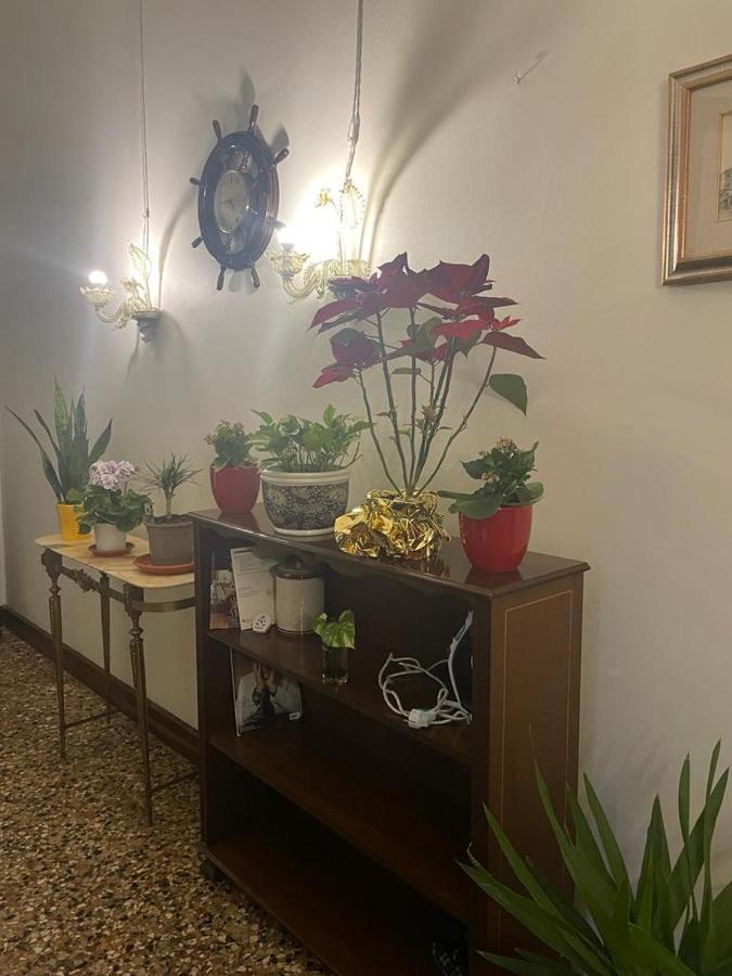 Rosa Pensión *
